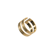 Double Gold Ring